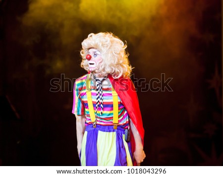 performances of a clown in a circus
