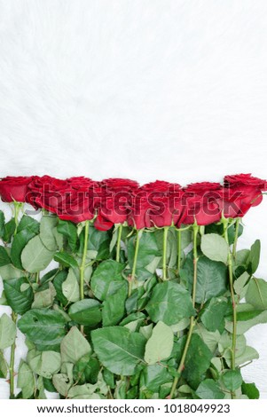 Big bouquet of red roses on white fur