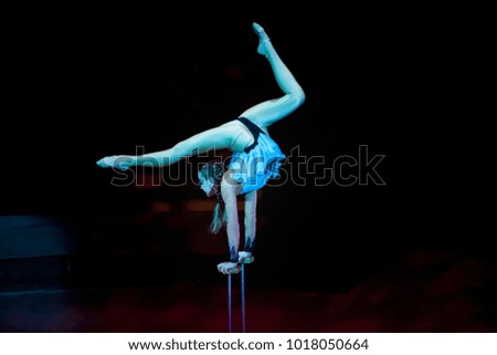 performances of a gymnast in a circus