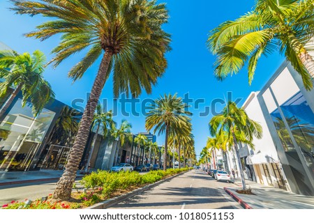 Palm trees in Rodeo Drive, Beverly Hills. Los Angeles, California