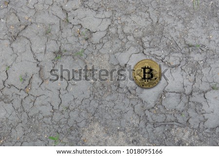 golden bitcoin lie on the cracked ground