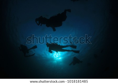 Scuba dive underwater