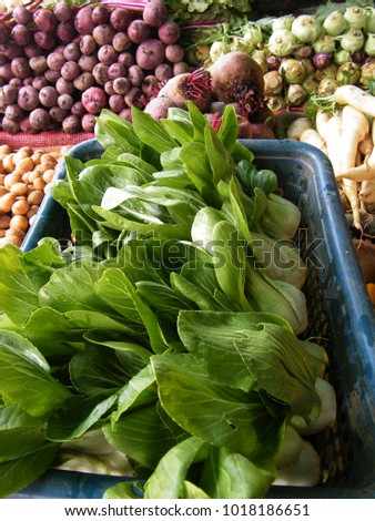 Bok choy or pak choi is a type of Chinese cabbage. Chinensis varieties do not form heads and have smooth, dark green leaf blades instead, forming a cluster reminiscent of mustard greens or celery. 