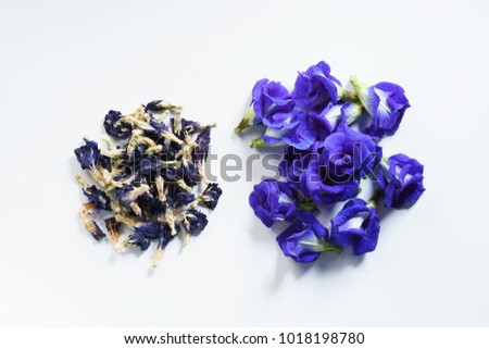 fresh butterfly pea flowers and dried on white background, top view