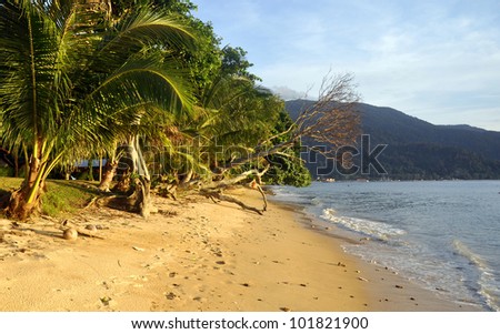 Tioman island, beach