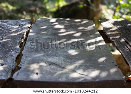 Old wooden boards Midst nature, trees, sunshine.