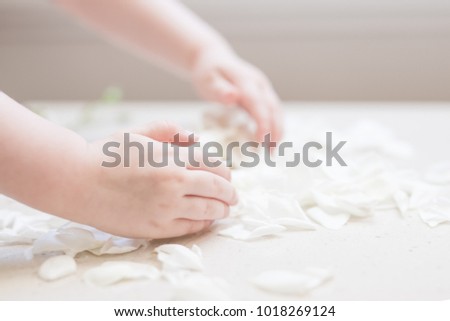 Small toddler hands playing and dropping petals from white roses against a white bright beautiful background