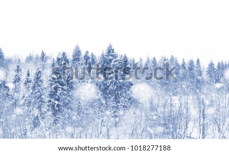 Landscape in the winter cloudy day of snow-covered fields and forests