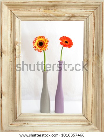 Flowers in colorful vases in a rustic frame