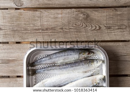 Frozen sardines. Cornish. For grill and BBG. Dark wooden background