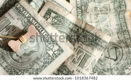 Happy year of the dog 2018 concept. Bone on a US dollars. US dollars background. Prosperity, luck and success . Selective focus