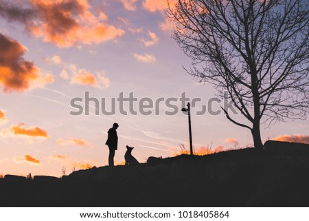 Photo of a man with a dog in the countryside.