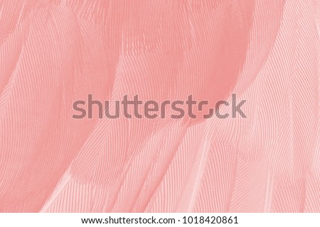Close up beautiful Coral Pink vintage color trends feather texture background