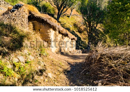 View of Hut made of stones & mud clay with thatched roof at indian village enroute to Nag tibba trekking trail from Pantwari to Jhandi peak, Dehradun, Garhwal region, Uttarakhand, India.