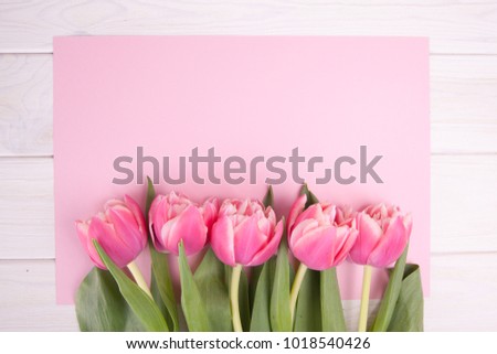 Delicate pink tulips on a pink background. Close-up. Flowers composition. Floral spring background. Valentine's Day, Easter, Mother's Day.