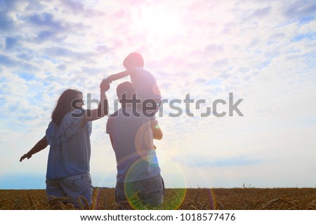Happy family. Mom dad and son look at the sun in the wheat field. Back view.