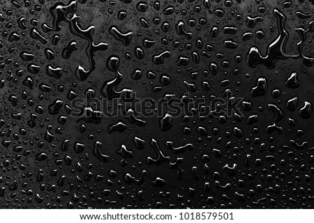 abstract water drops on a white background
 Royalty-Free Stock Photo #1018579501