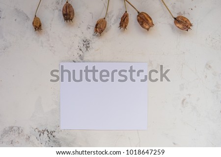 Dry plants on a white textured background with empty paper for your text.