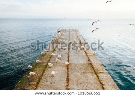 winter sea pier