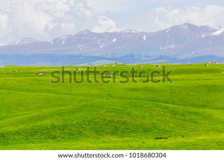 Nature landscape image