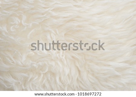 White soft wool texture background, seamless cotton wool, light natural sheep wool, close-up texture of white fluffy fur, wool with beige tone for designer