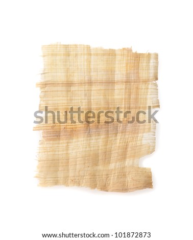 papyrus texture or label isolation on white background