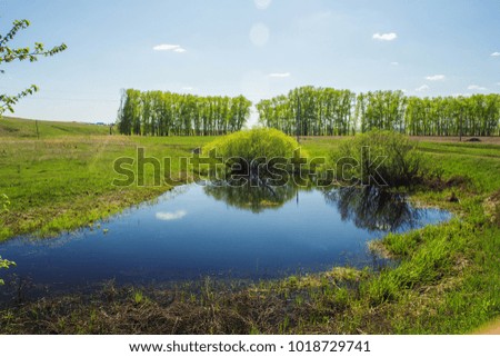 small lake with one tree on the background of blue sky and trees.