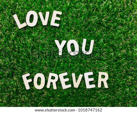 Image Love You Forever,wooden alphabet on green grass background with space for your text and design.Concept for love,card,calendar,banner of Valentine’s Day.Blur picture and exposure.
