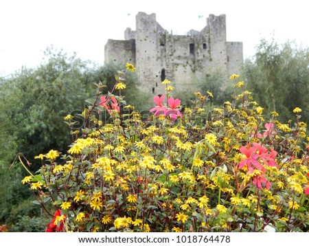 Ireland flowers in front of castle tower