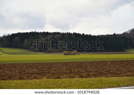 Agriculture Fields and Forest Trees, Winter, Swabian Alb, Germany, Europe