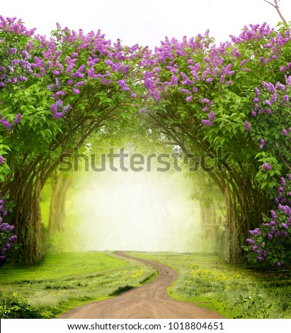 Beautiful spring  landscape.Lilac trees in blossom Magic forest with road. Fantasy  background.