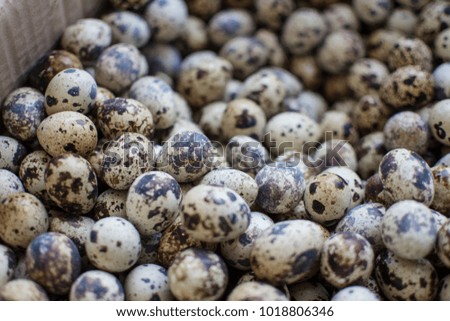 Textured spring background with small quail eggs. Eco products. Horizontal format