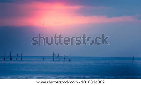 Colorful beach sunset with pink and blue skies. Taken in Myrtle Beach, South Carolina