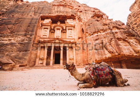 Camel in front of the temple Al-Khazneh. Petra, Jordan Royalty-Free Stock Photo #1018829296