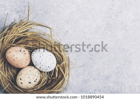 Cute creative with easter eggs at grey background