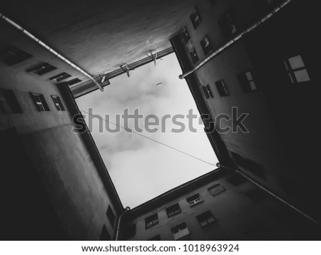 The walls of the old building against the background of Seagull flying in the sky. The view from the bottom up. Black and white photo.