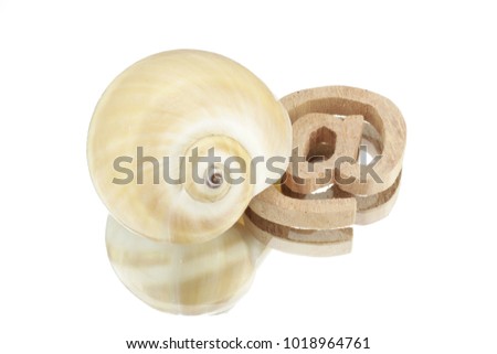 Symbolic representation of a slow internet with snail and sign