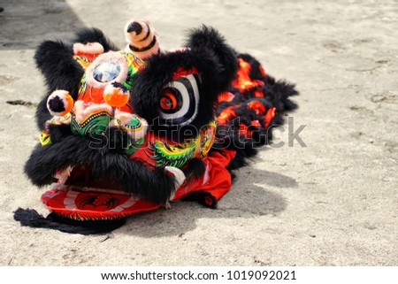 The lions' head costume was placed on the floor before the lion dance performance for the Chinese New Year celebration.