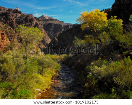 Creek flowing through a prolific valley in the Grand Canyon in Arizona. Hiking along the South Kaibab Trail.