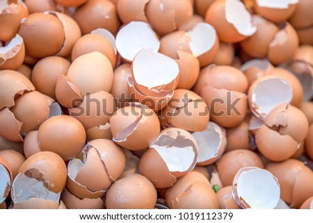 eggshell, many broken eggshell 