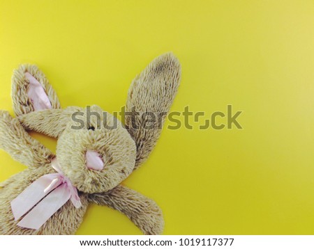 cute rabbit doll with space copy background