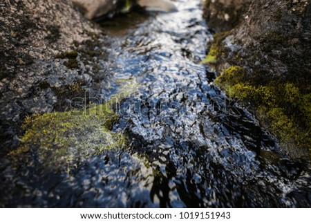 Glacier water river flowing over moss between rocks on mount Kilimanjaro, Africa