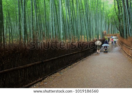 Arashiyama Bamboo Forest in Raining day Royalty-Free Stock Photo #1019186560
