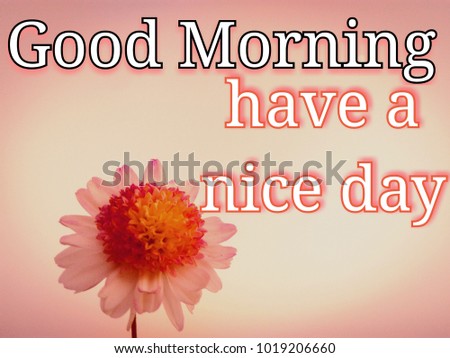 TEXT Good morning have a nice day