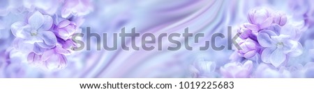 Lilac flowers bloom branch panorama. Greeting gift card background . Toned image. Template banner