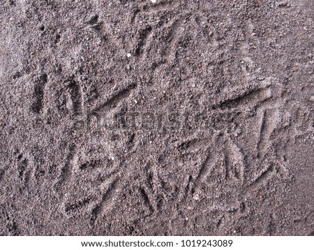 Texture of chicken footprints on the ground
