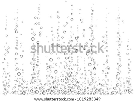  Underwater fizzing air bubbles on white  background. Champagne. Realistic 3d fizzy drink. Soda pop. Undersea vector texture. Royalty-Free Stock Photo #1019283349