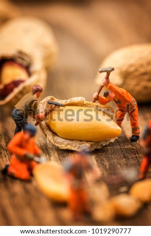 Miniature figures working on peanuts macro photography on wood table