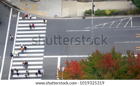 People walking cross the road on zebra crossing in the city / Japan 