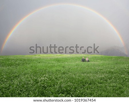 Relaxation of people against the background of wild nature and rainbow.
